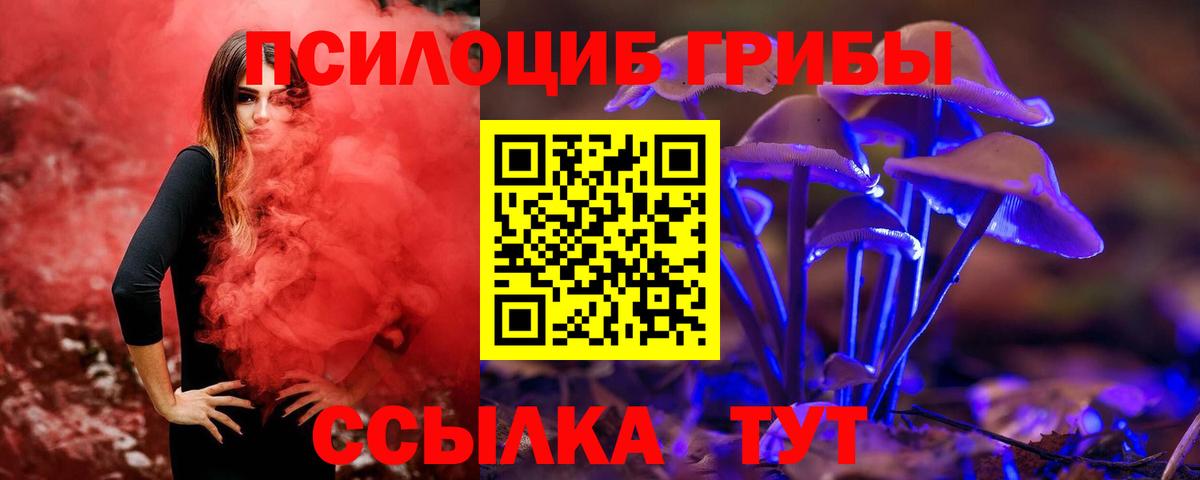 Псилоцибиновые грибы MAGIC MUSHROOMS  Галлюциногенные грибы GOLDEN TEACHER  Вход с VPN  Наро-Фоминск 